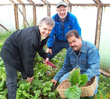 Le Marché des fermiers de la région Évangéline se remet en action le 12 juin