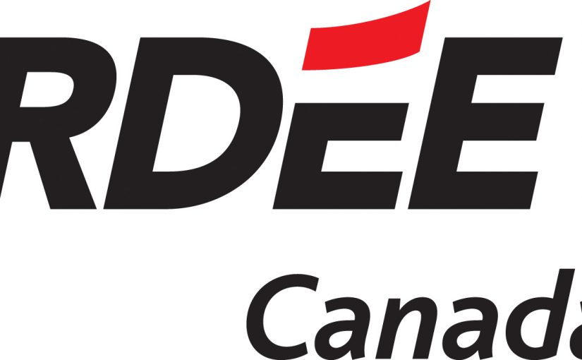 Chronique 1 – RDÉE Canada : Développement économique en action