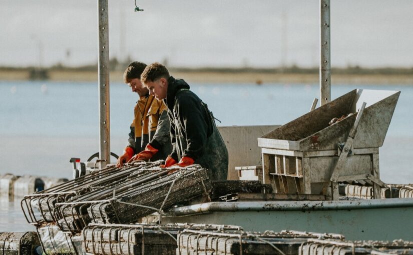 Onze entreprises de l’Île bientôt en mission au Québec  pour vendre leurs produits ou services