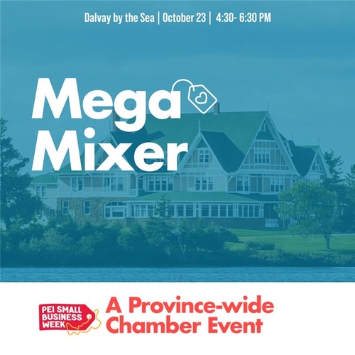Personnes d’affaires invitées à une réception de réseautage « Mega Mixer » à Dalvay